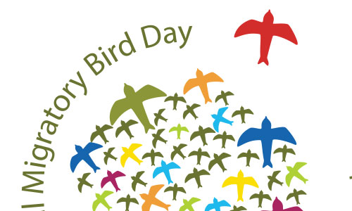 World Migratory Bird Day logo