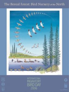 Past Themes World Migratory Bird Day Past Themes World Migratory Bird Day