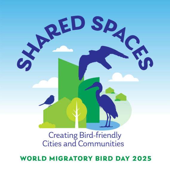 World Migratory Bird Day In The Americas World Migratory Bird Day In The Americas