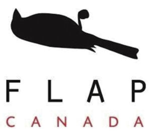 Fatal Light Awareness Program supports World Migratory Bird Day